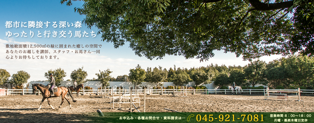 まとめ買いキャンペーン